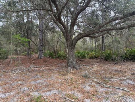 Old Grade Road Other City - In The State Of Florida FL 33868