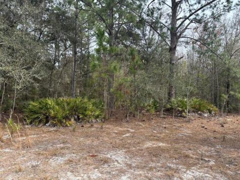 Old Grade Road Other City - In The State Of Florida FL 33868