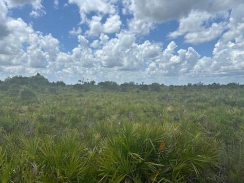 NW 313th Street Okeechobee FL 34972