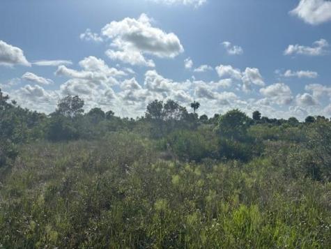 NW 316th Street Okeechobee FL 34972