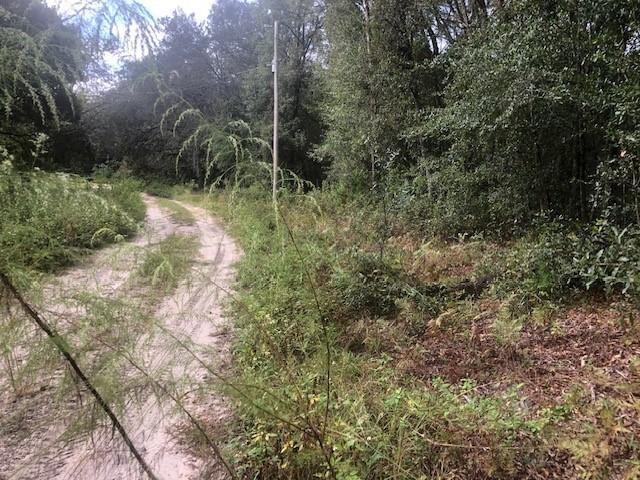 127 Sharon Drive Satsuma FL 32189