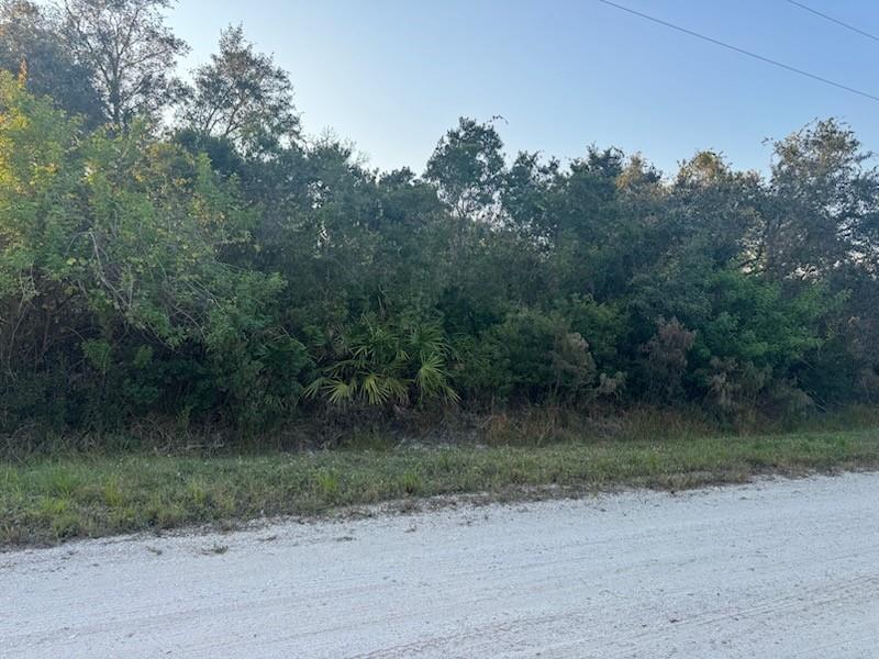 375 Carole Road Lake Placid FL 33852