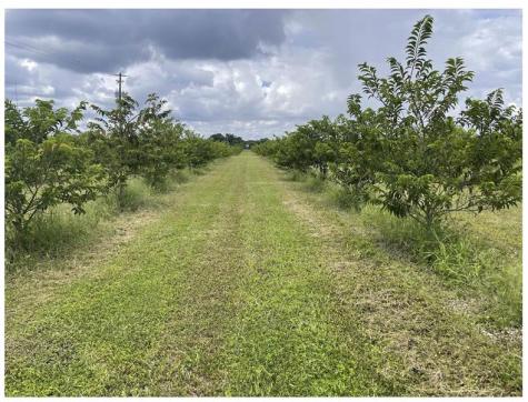 149XX SW 224 Street Miami FL 33170