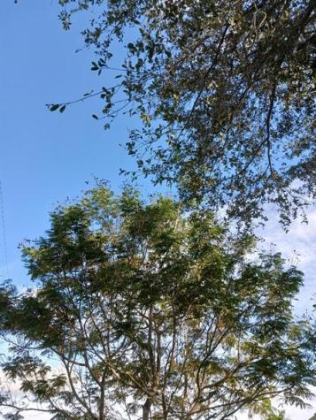 0000 139 Court Other City - In The State Of Florida FL 34432