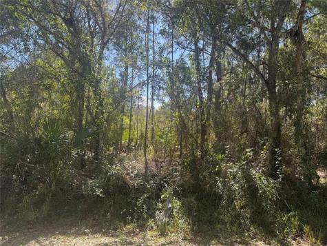 508 NW 30th Lane Okeechobee FL 34972