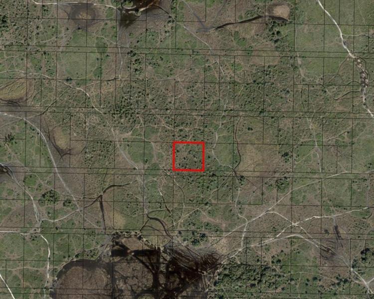 NW 310th Street Okeechobee FL 34972
