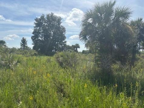 NW 310th Street Okeechobee FL 34972