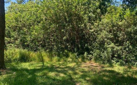 1956 W Tanager Road Avon Park FL 33825