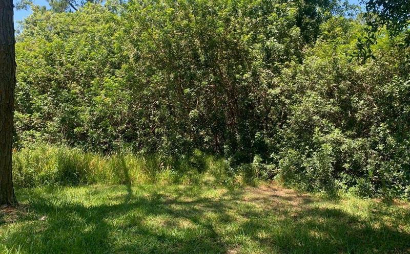 1956 W Tanager Road Avon Park FL 33825