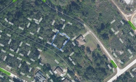 1956 W Tanager Road Avon Park FL 33825