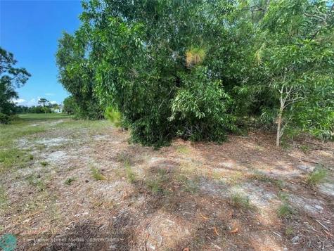 4513 NW 34th Place Cape Coral FL 33993
