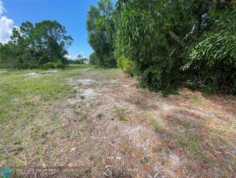4513 NW 34th Place Cape Coral FL 33993