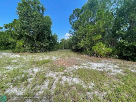 4513 NW 34th Place Cape Coral FL 33993