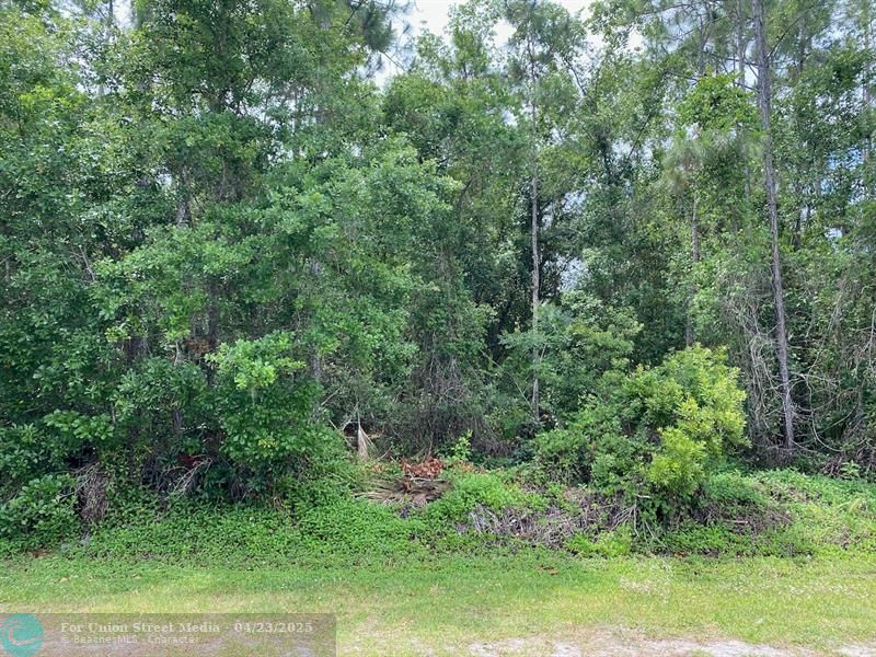 2351 Allamanda Drive Indian Lake Estates FL 33855