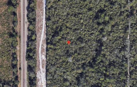 Riegel Paper Orange City FL 32763