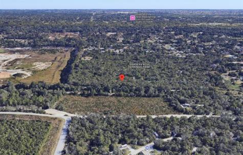 Riegel Paper Orange City FL 32763