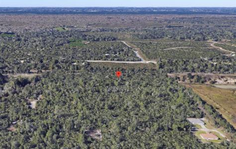 Riegel Paper Orange City FL 32763