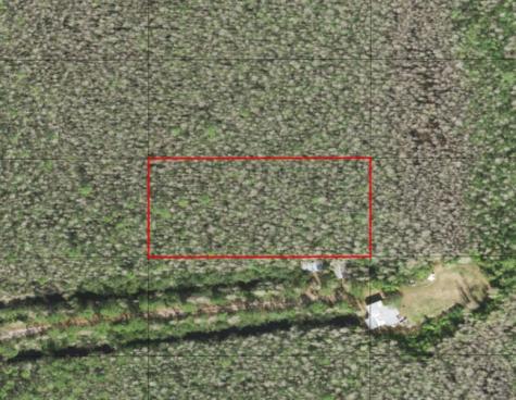Holopaw Groves Road St. Cloud FL 34772