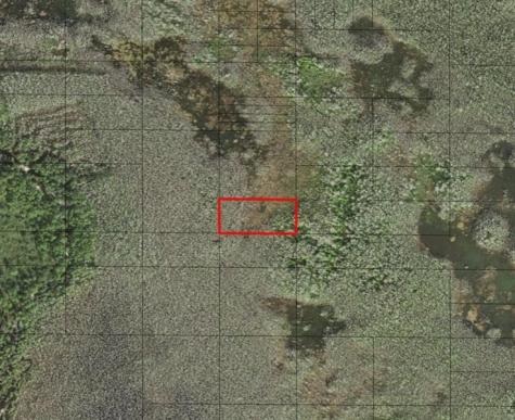 Holopaw Groves Road St. Cloud FL 34772