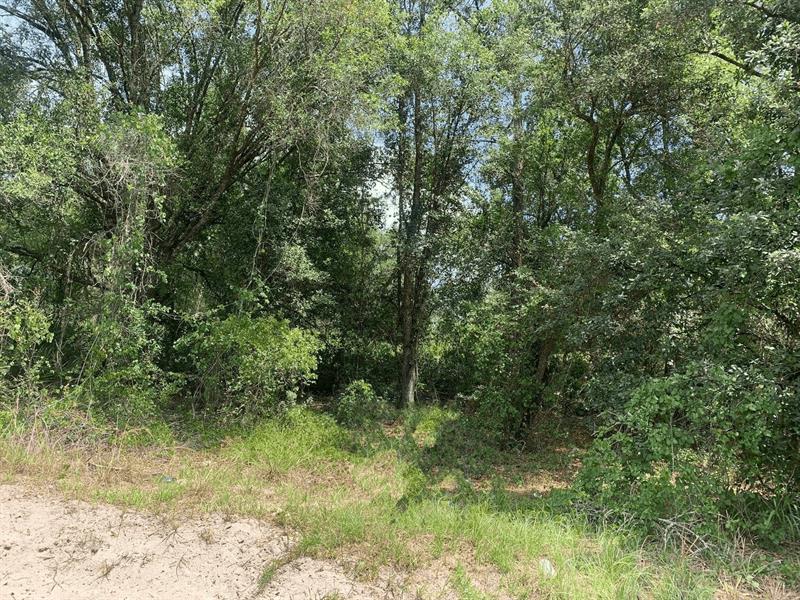 County Road 54 E Kathleen FL 33849