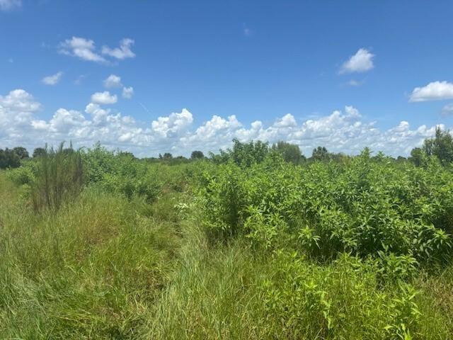 NW 318th Street Okeechobee FL 34972