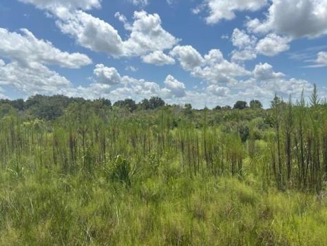 NW 314th Street Okeechobee FL 34972