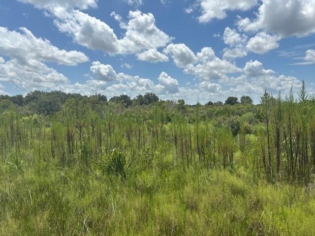 NW 314th Street Okeechobee FL 34972