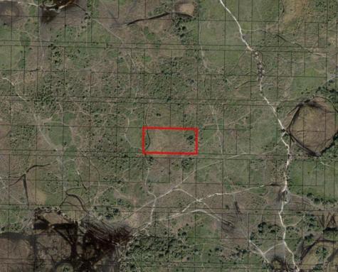 NW 310th Street Okeechobee FL 34972
