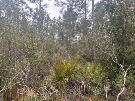 Old Grade Road Other City - In The State Of Florida FL 33868
