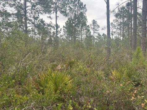 Old Grade Road Other City - In The State Of Florida FL 33868