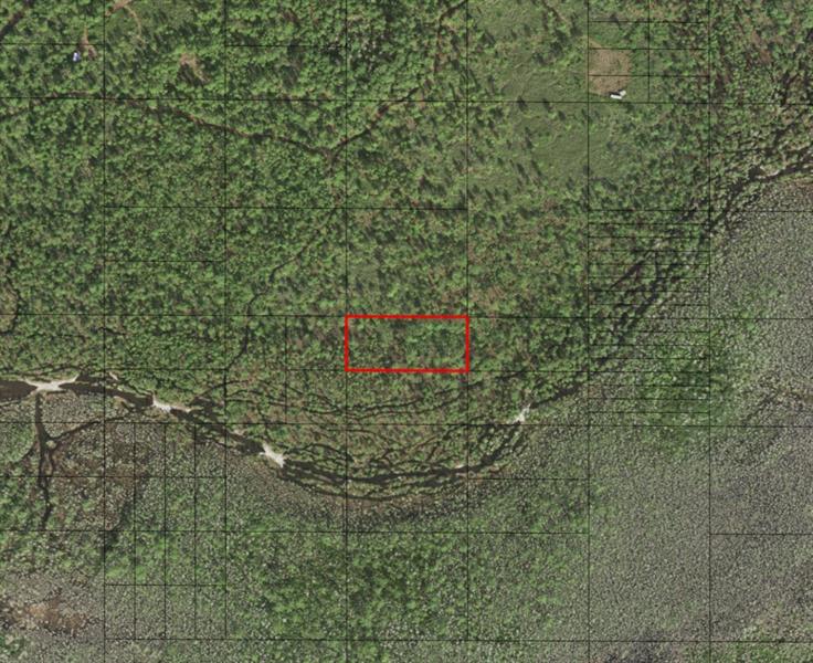 Holopaw Groves Road St. Cloud FL 34772