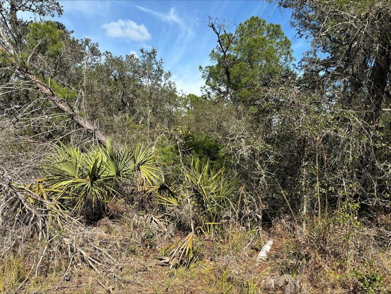 Jackson Street Lake Wales FL 33898