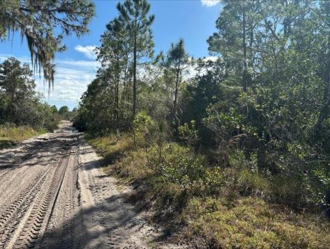 Jackson Street Lake Wales FL 33898