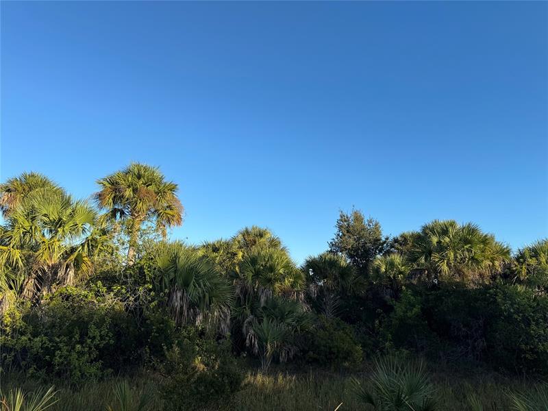 2025 Cabbage Lane Okeechobee FL 34974