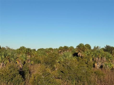 2025 Cabbage Lane Okeechobee FL 34974