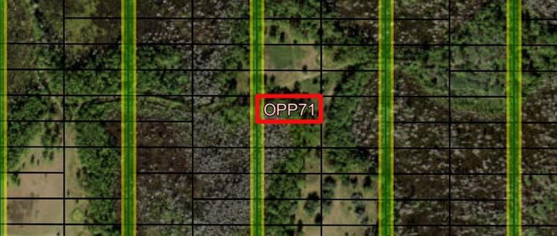 Old Grade Road Other City - In The State Of Florida FL 33868