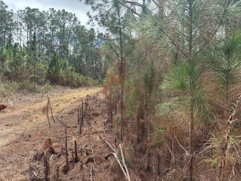 Old Grade Road Other City - In The State Of Florida FL 33868