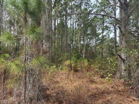 Old Grade Road Other City - In The State Of Florida FL 33868
