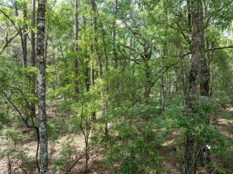 208 Street 139 Drive O Brien FL 32071