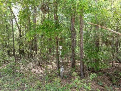 208 Street 139 Drive O Brien FL 32071