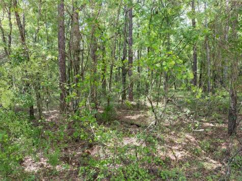 208 Street 139 Drive O Brien FL 32071