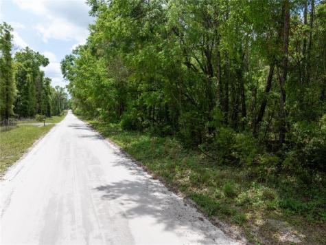 208 Street 139 Drive O Brien FL 32071