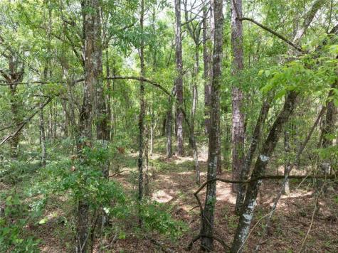 208 Street 139 Drive O Brien FL 32071