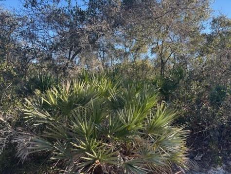 2280 93RD Court Vero Beach FL 32966