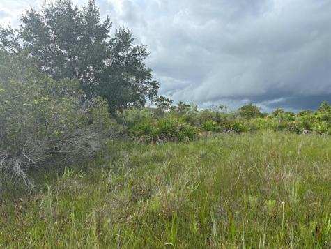 NW 312th Street Okeechobee FL 34972