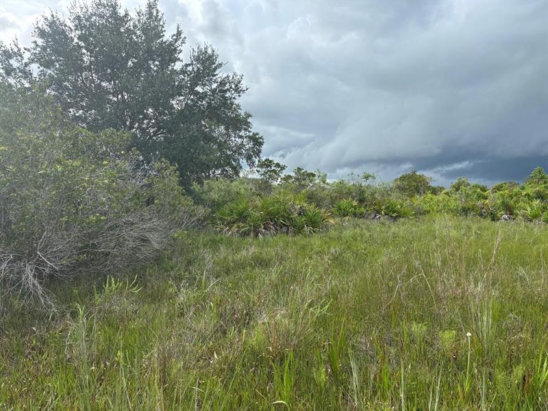 NW 312th Street Okeechobee FL 34972