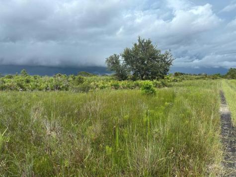 NW 312th Street Okeechobee FL 34972