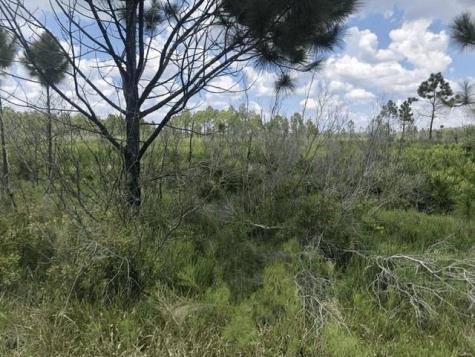 Xeriscape Nursery Road Frostproof FL 33843