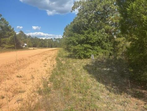 0 Nezperce Drive Alford FL 32420
