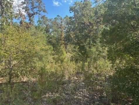 Nezperce Drive Alford FL 32420